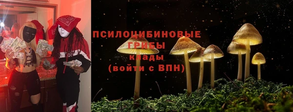 ALPHA-PVP Богородицк