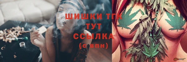 ГАЛЛЮЦИНОГЕННЫЕ ГРИБЫ Беломорск