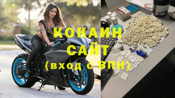 прущие крисы Белокуриха