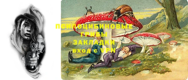 прущие крисы Белокуриха