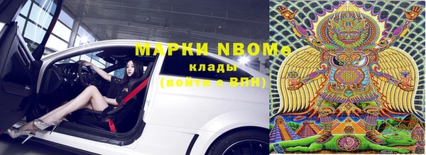 прущий лед Богданович