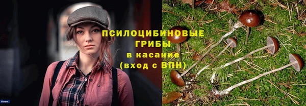 прущий лед Богданович
