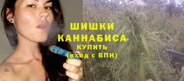 прущие крисы Белокуриха