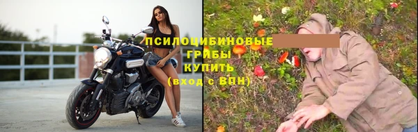 прущие крисы Белокуриха