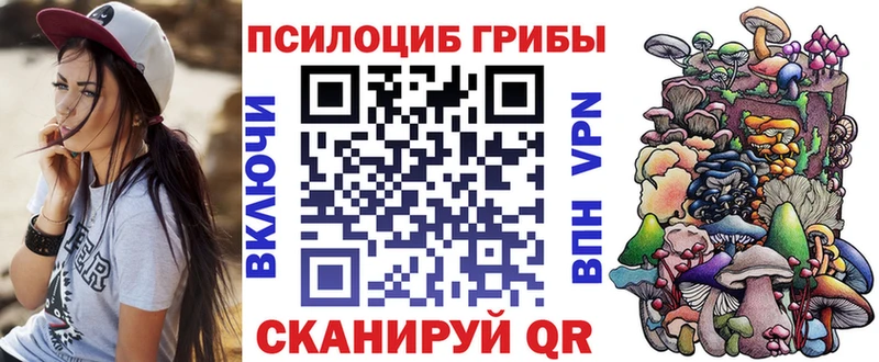 закладка  shop Telegram  Псилоцибиновые грибы Magic Shrooms  Пионерский 