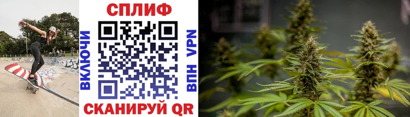 kraken зеркало  Пионерский  даркнет телеграм  Бошки марихуана SATIVA & INDICA 