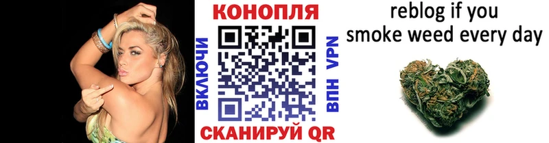 Конопля SATIVA & INDICA Пионерский